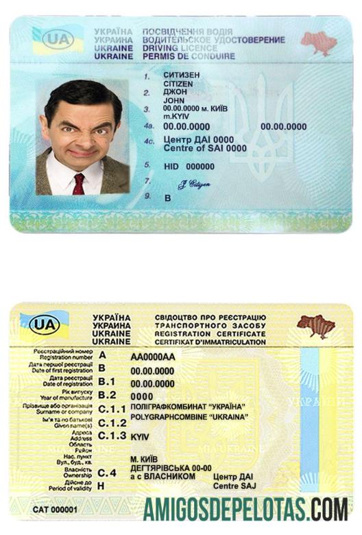 Carta de condução da Ucrânia exemplo